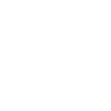 Kasachstan Herkunft National Schneeleopard