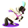 Circus Pony