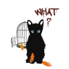 Petit chaton mignon noir et oiseau