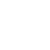 Singer