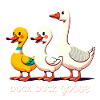 Duck Duck Goose