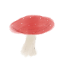 l’amanite tue mouche