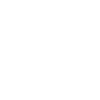 Leonid