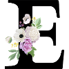 Lila Blumenbuchstabe E