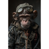 Monkey Cyberpunk