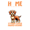 Home - Styrian Wire-haired Hound