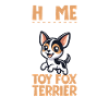 Home - American Toy Terrier