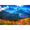 SUMMER ALPS