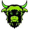 buffalo bull