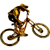 Downhill-Mountainbiken