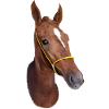Stylized Horse Head