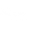 Rally Vehicle