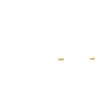 Rally Vehicle