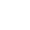 Rally Vehicle
