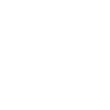 Rally Vehicle