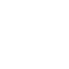 Rally Vehicle