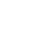 Rally Vehicle