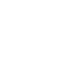 Rally Vehicle