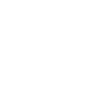 Rally Vehicle