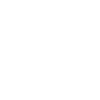 Rally Vehicle