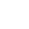 Rally Vehicle