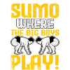 Sumo où jouent les grands !