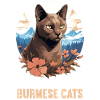Burmese Cat Burma Katze