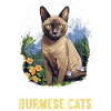 Burmese Cat Burma Katze