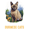 Burmese Cat Burma Katze