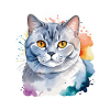 Aquarelle British Shorthair