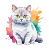 Aquarelle British Shorthair