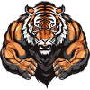 Tiger Beast Martial Arts MMA