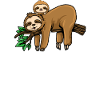 Big brother 2024 sloth