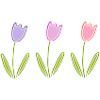 Tulpen Blumen