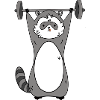 Drôle de fitness-raton laveur