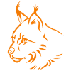 Luchs in orange