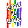 Love Is Love pride