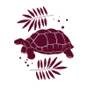 Turtle / Reptile - Reptile