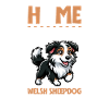 Accueil - Welsh Sheepdog