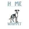 Home - Whippet
