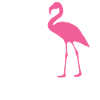 Bachelorette Hen Party Bride
