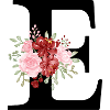 Roter Blumenbuchstabe E
