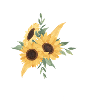 Letter f floral sunflower