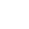 Levin
