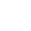 Levi
