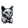Crazy Cat Gentleman – Funny Feline