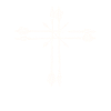 Bow Archery Arrows