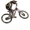MTB Abfahrt