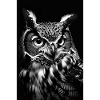 Hibou