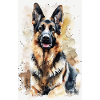 Deutscher Schäferhund